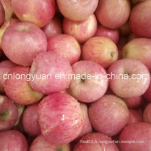 Fournisseur chinois pour la qualité de la pomme fraîche de Qinguan